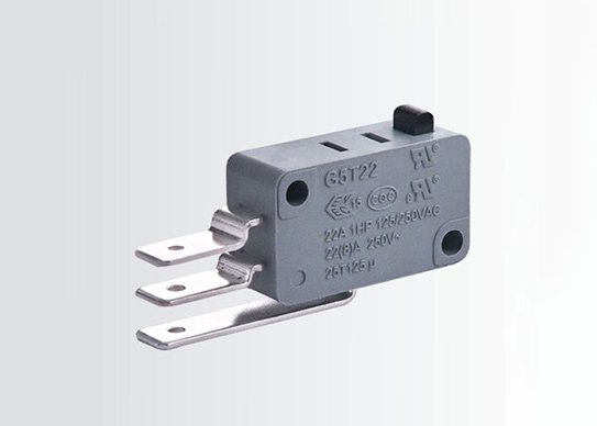 Basic Micro Switch G5H16